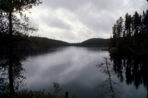 Mosquito Lake.