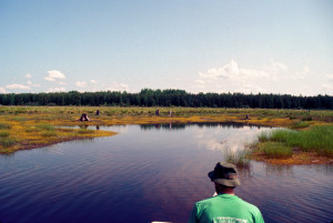 Majestic Marsh.