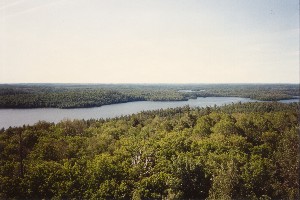 View from the Tower.