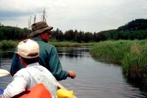 Into the Marsh.