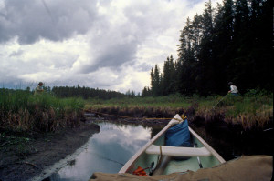 Towing the Canoe Through the Marsh.