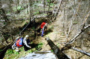 Firescape Portage.