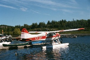 Vintage 1956 Beaver airplane.