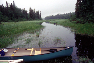 End of portage to Crooked Lake.