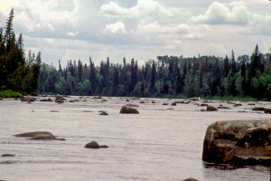 Albany Rapids.