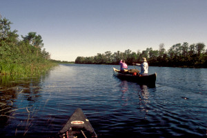 Paddling in Peterbell Marsh.