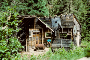 Logging Camp.