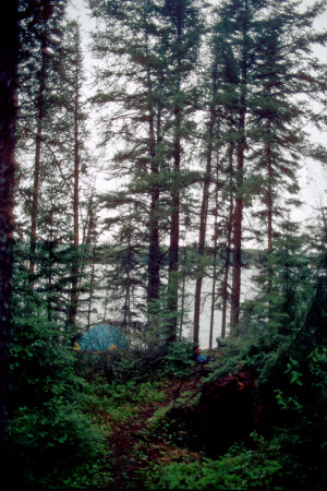 Camp on Wakami Lake in the morning.