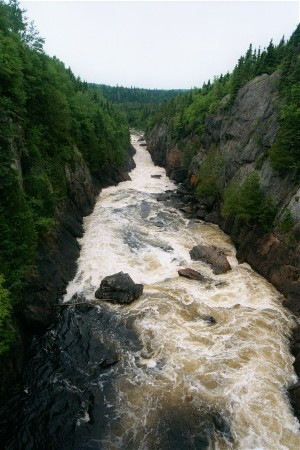 View from the Rope Bridge.